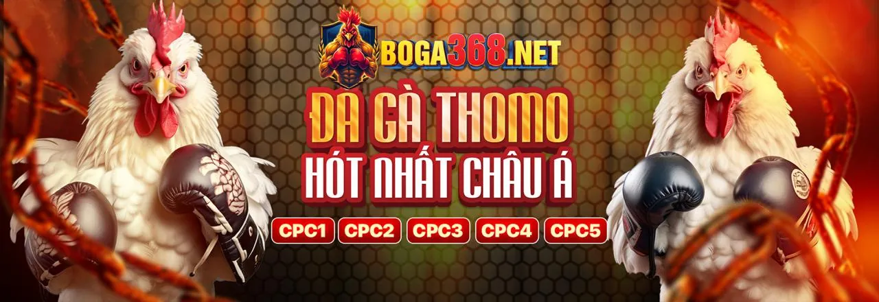 Hướng Dẫn Chơi Game phlboss888